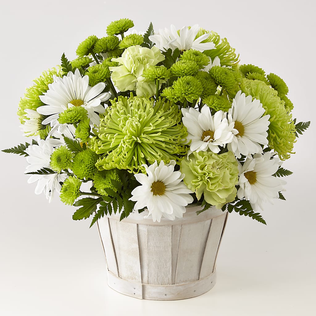 Lucky Charm Basket (Standard) – All City Florist Inc, Melbourne FL