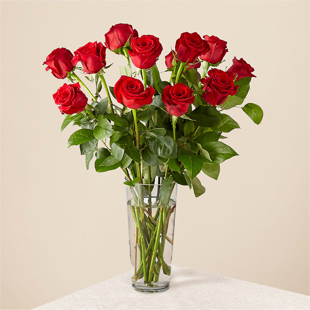 Long Stem Red Rose Bouquet – All City Florist Inc, Melbourne FL