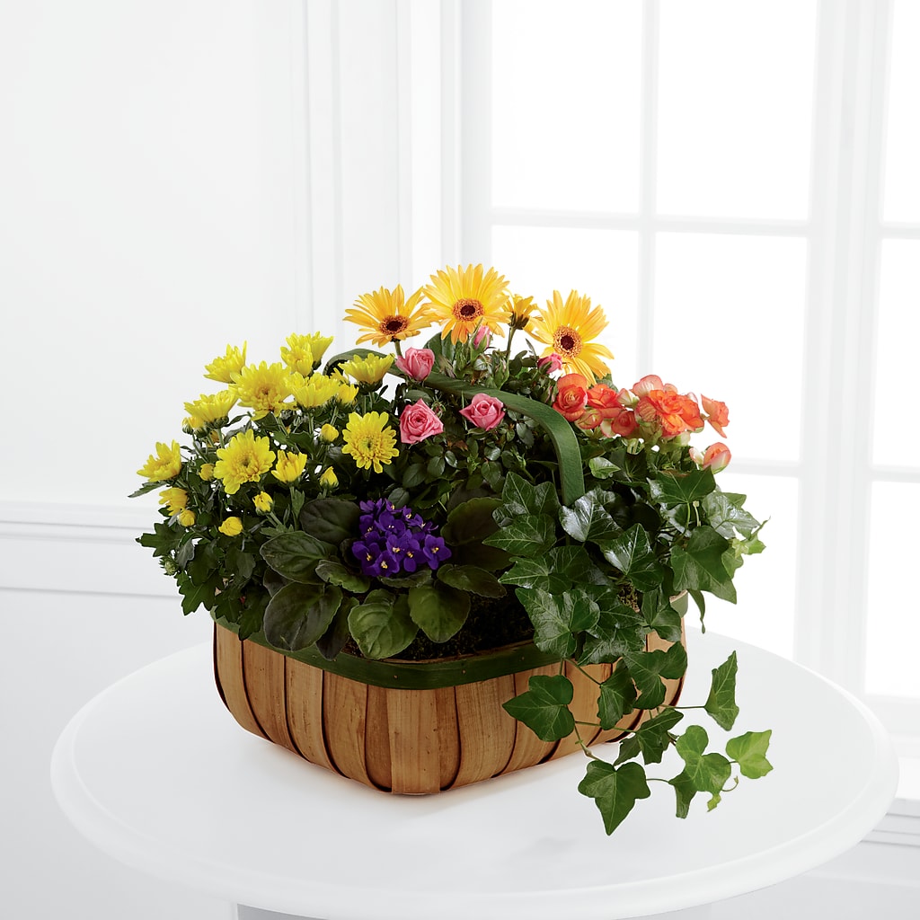 Gentle Blossoms Basket – All City Florist Inc, Melbourne FL