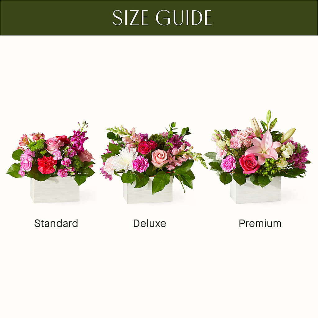 Sweetberry Box – A Florist Original – All City Florist Inc, Melbourne FL