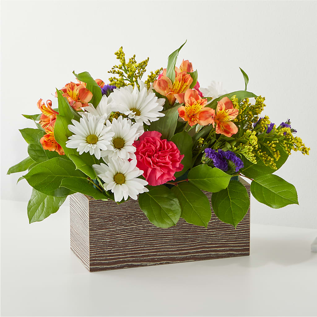 Oopsie Daisy Box Bouquet – All City Florist Inc, Melbourne FL