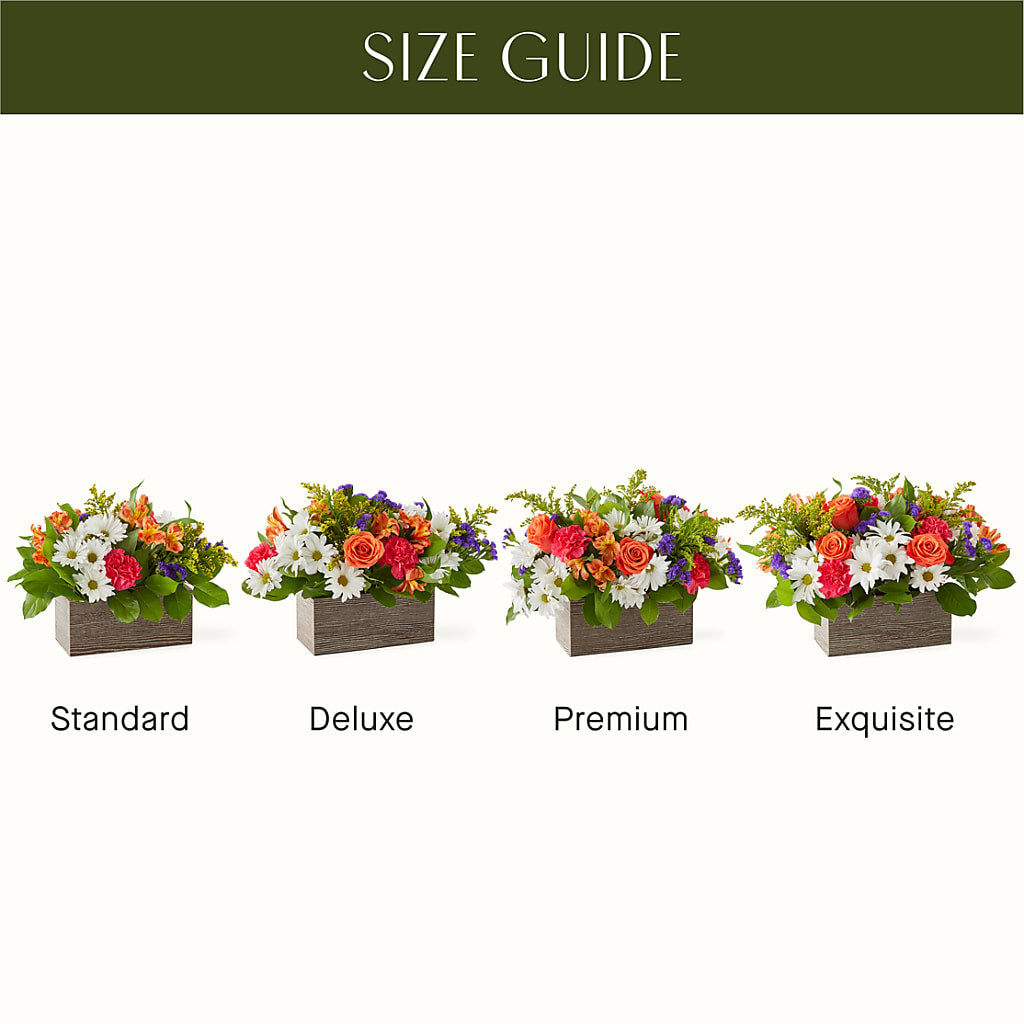Oopsie Daisy Box Bouquet – All City Florist Inc, Melbourne FL