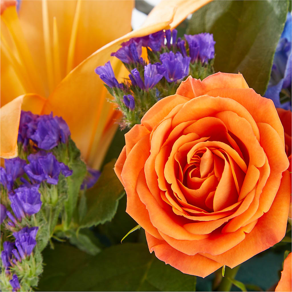 Radiant Citrus Box Bouquet – All City Florist Inc, Melbourne FL