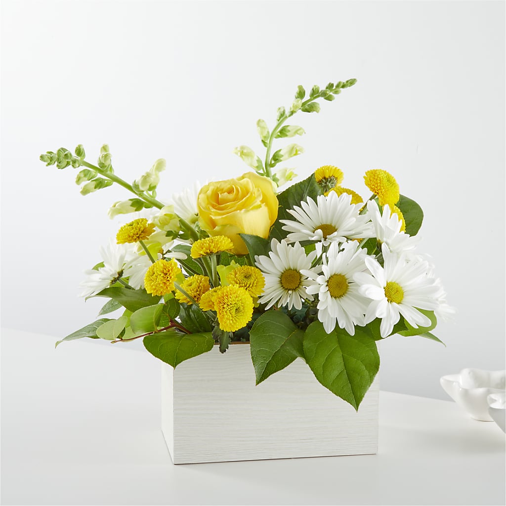 Sun Salutation Box Bouquet – All City Florist Inc, Melbourne FL