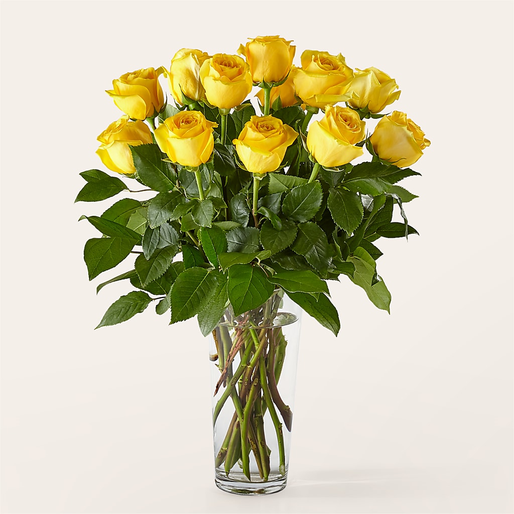 Long Stem Yellow Rose Bouquet – All City Florist Inc, Melbourne FL