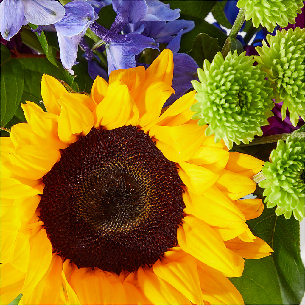 Catching Rays Bouquet – All City Florist Inc, Melbourne FL
