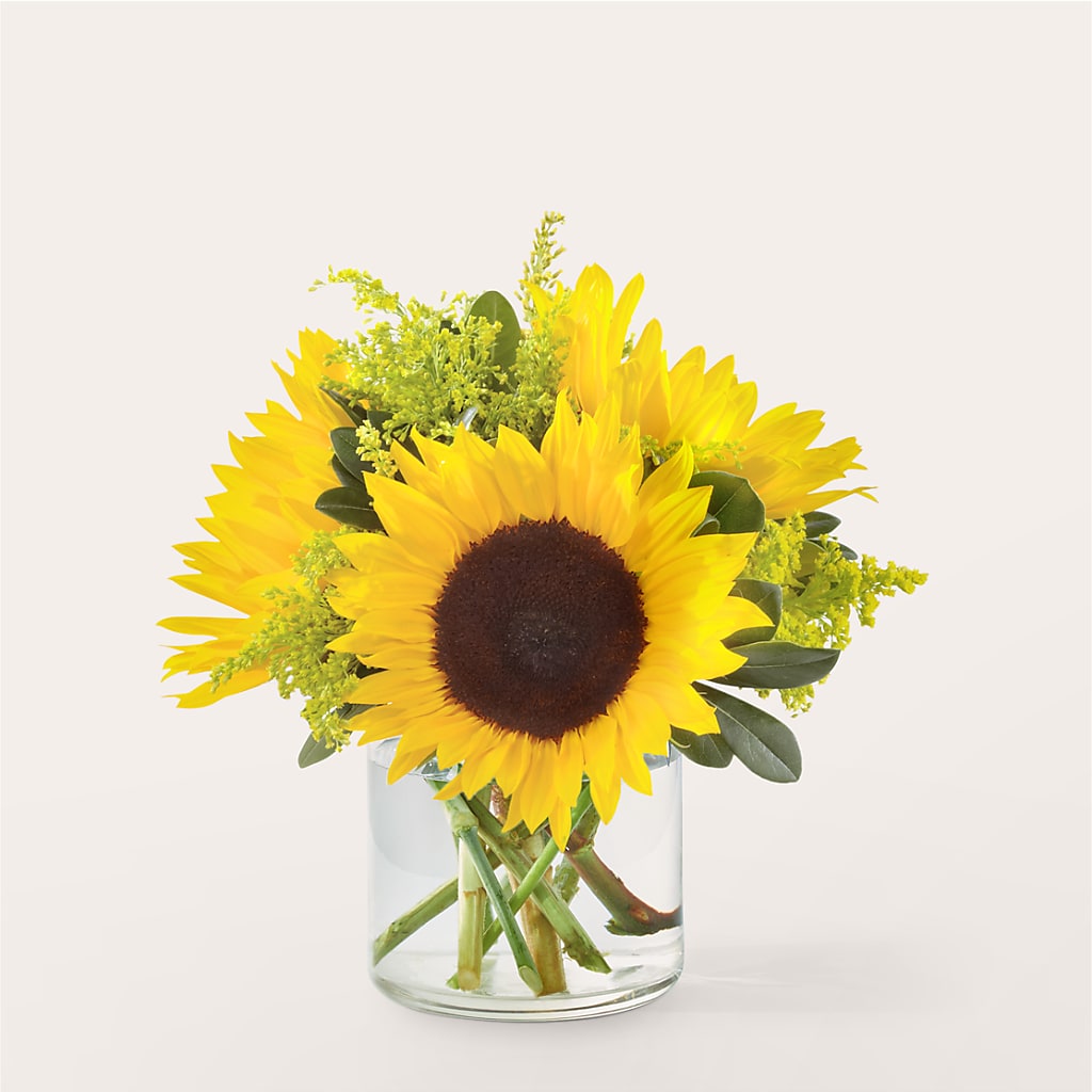 Beaming Sunflower Bouquet – All City Florist Inc, Melbourne FL