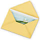Greeting Card – All City Florist Inc, Melbourne FL