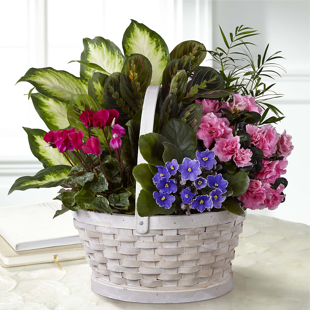 Peaceful Garden Planter – All City Florist Inc, Melbourne FL