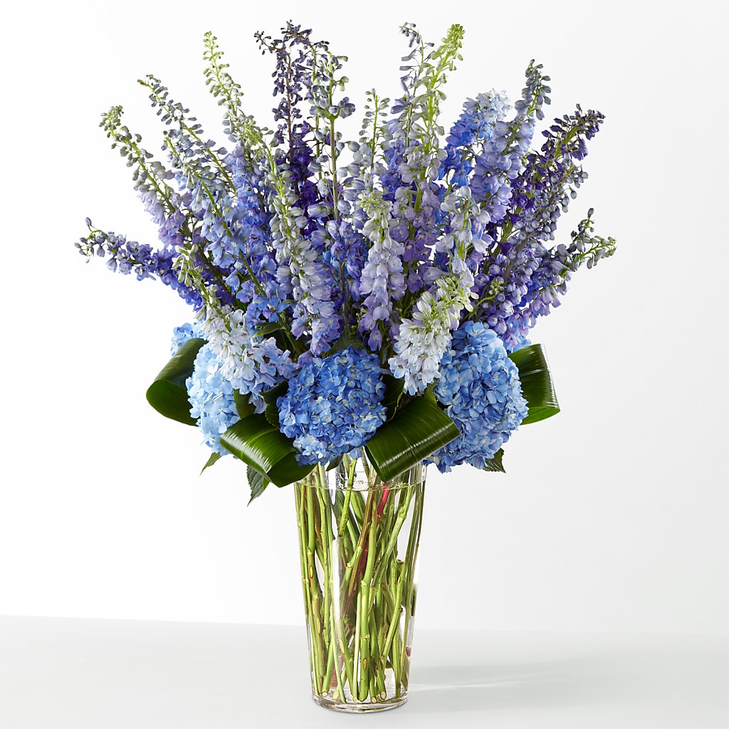 The Editorial – All City Florist Inc, Melbourne FL