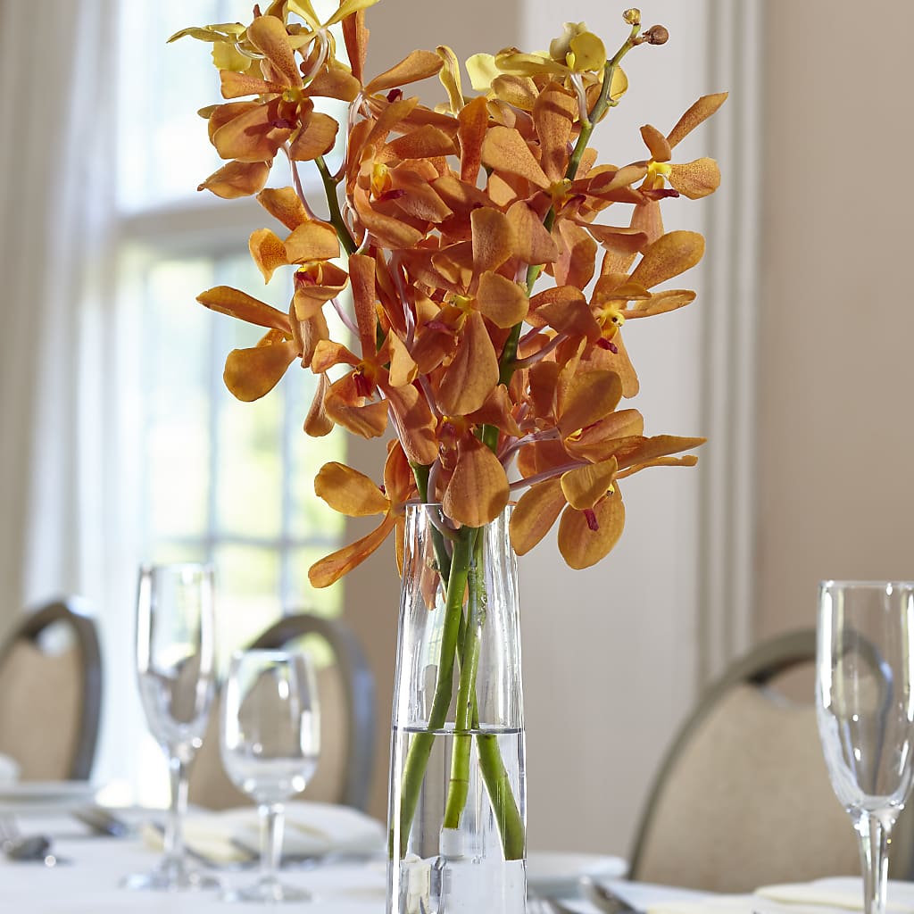 Orange Mokara Bud Vase – All City Florist Inc, Melbourne FL