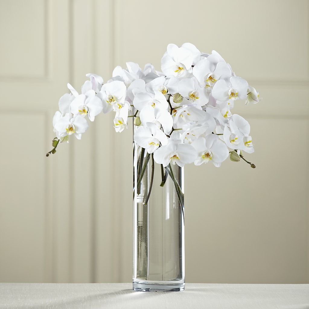 White Phalaenopsis Bouquet – All City Florist Inc, Melbourne FL