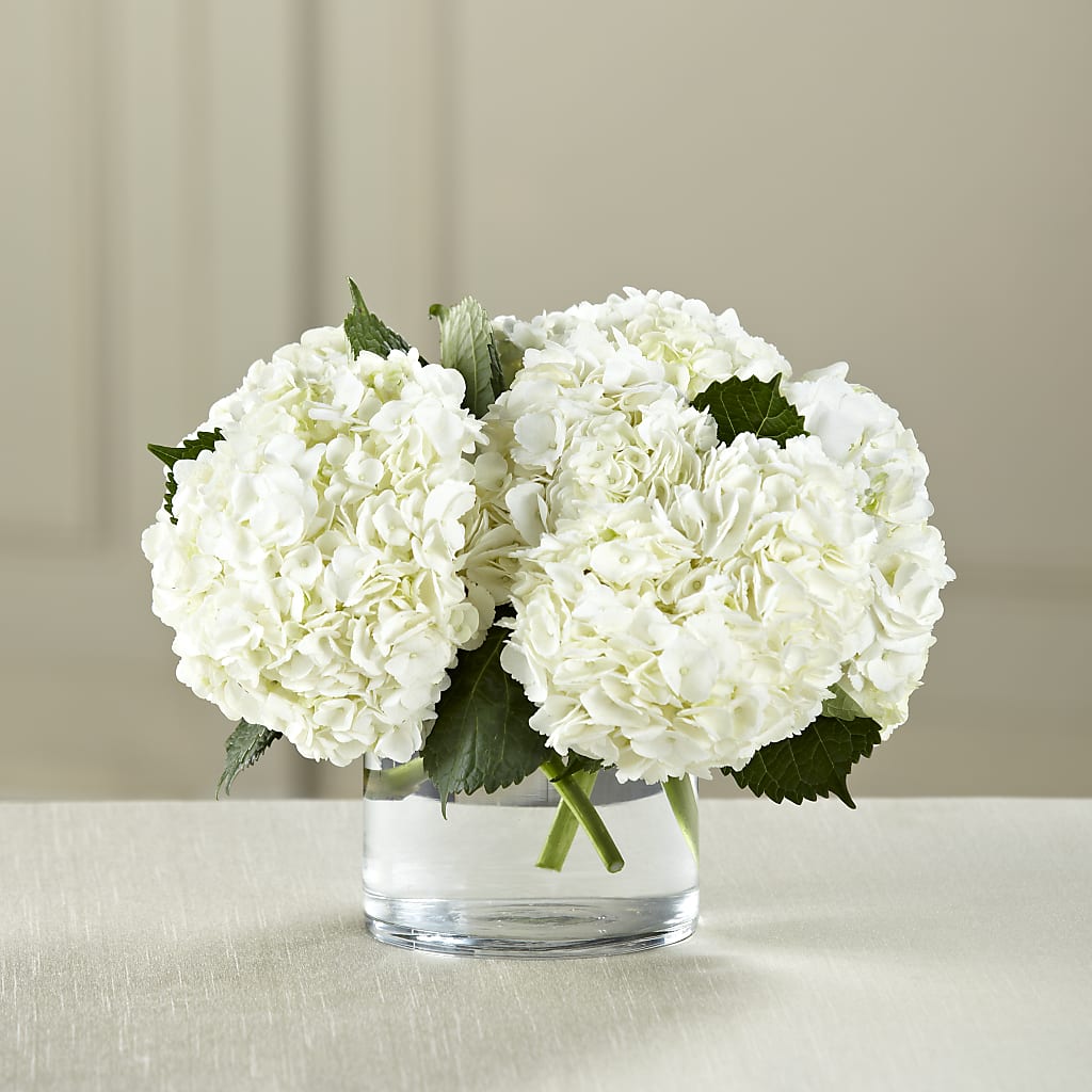 White Hydrangea Bouquet – All City Florist Inc, Melbourne FL