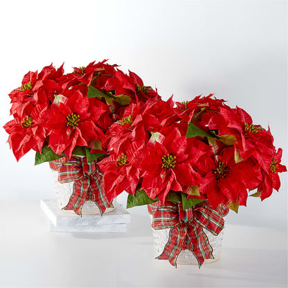 Happiest Holidays Poinsettia Bundle –  All City Florist Inc, Melbourne FL
