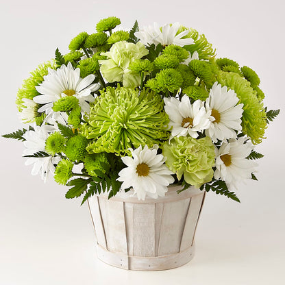 Lucky Charm Basket (Standard) –  All City Florist Inc, Melbourne FL