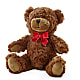 Adorable Plush Bear –  All City Florist Inc, Melbourne FL