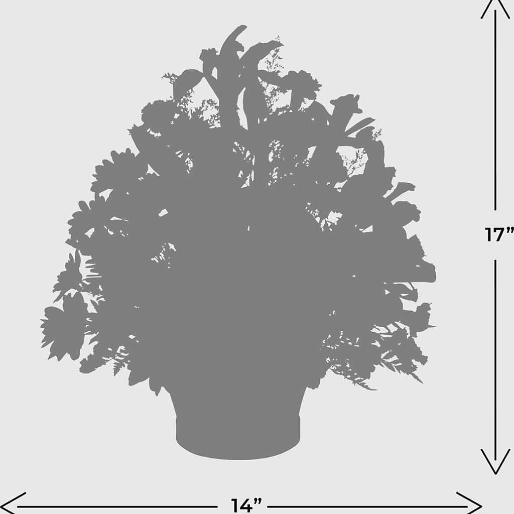 The Wondrous Nature Bouquet –  All City Florist Inc, Melbourne FL