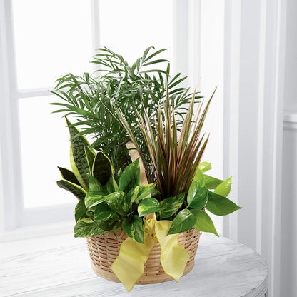 French Garden –  All City Florist Inc, Melbourne FL