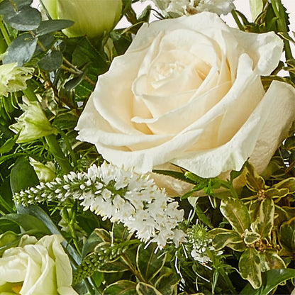 Cashmere Bouquet –  All City Florist Inc, Melbourne FL