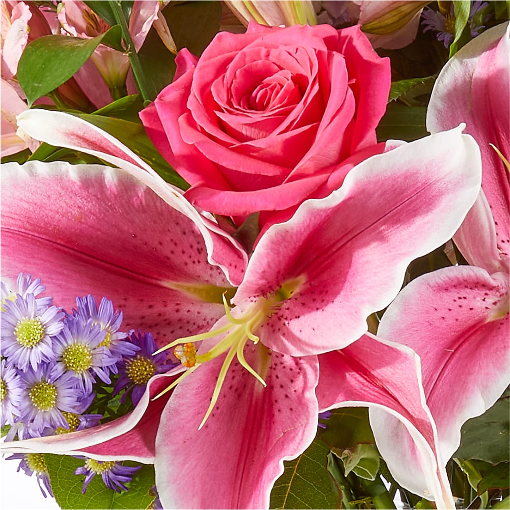 Written in the Stars Bouquet –  All City Florist Inc, Melbourne FL