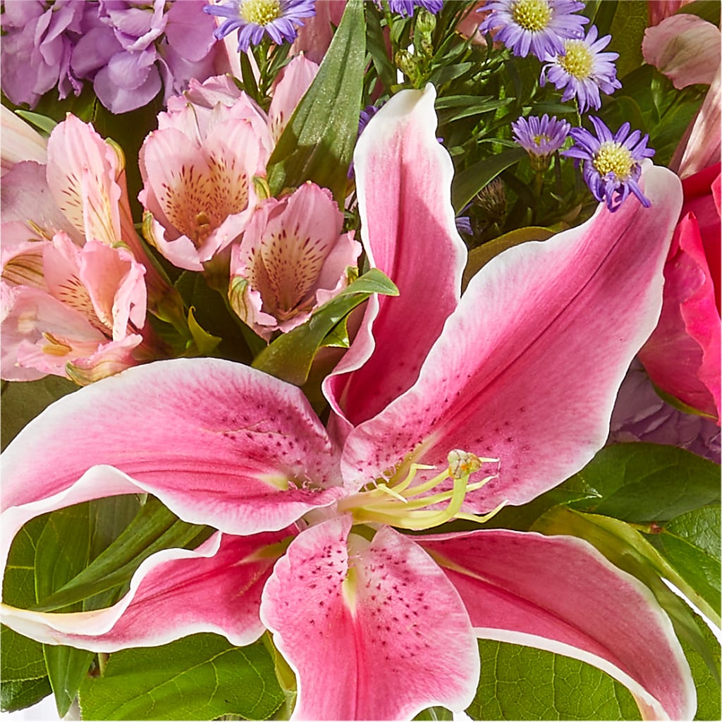 Written in the Stars Bouquet –  All City Florist Inc, Melbourne FL
