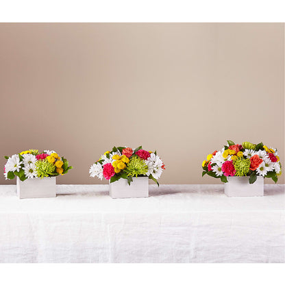 Sorbet Bouquet –  All City Florist Inc, Melbourne FL