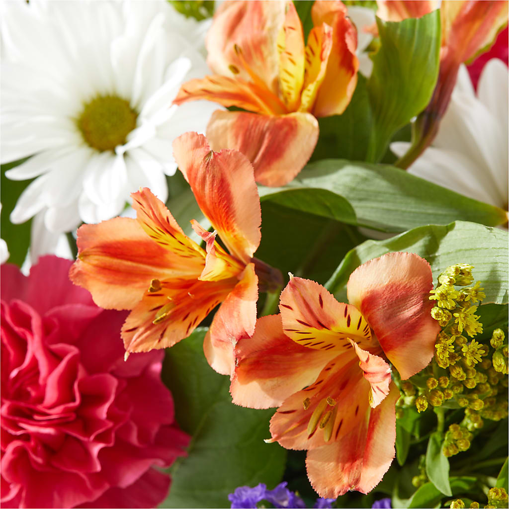 Oopsie Daisy Box Bouquet –  All City Florist Inc, Melbourne FL