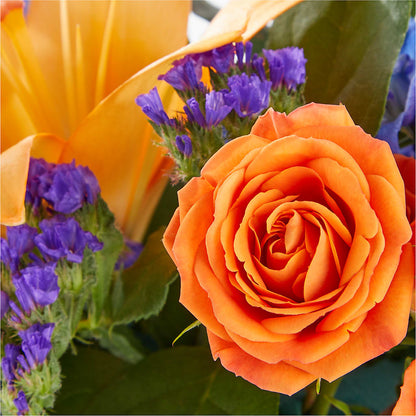 Radiant Citrus Box Bouquet –  All City Florist Inc, Melbourne FL