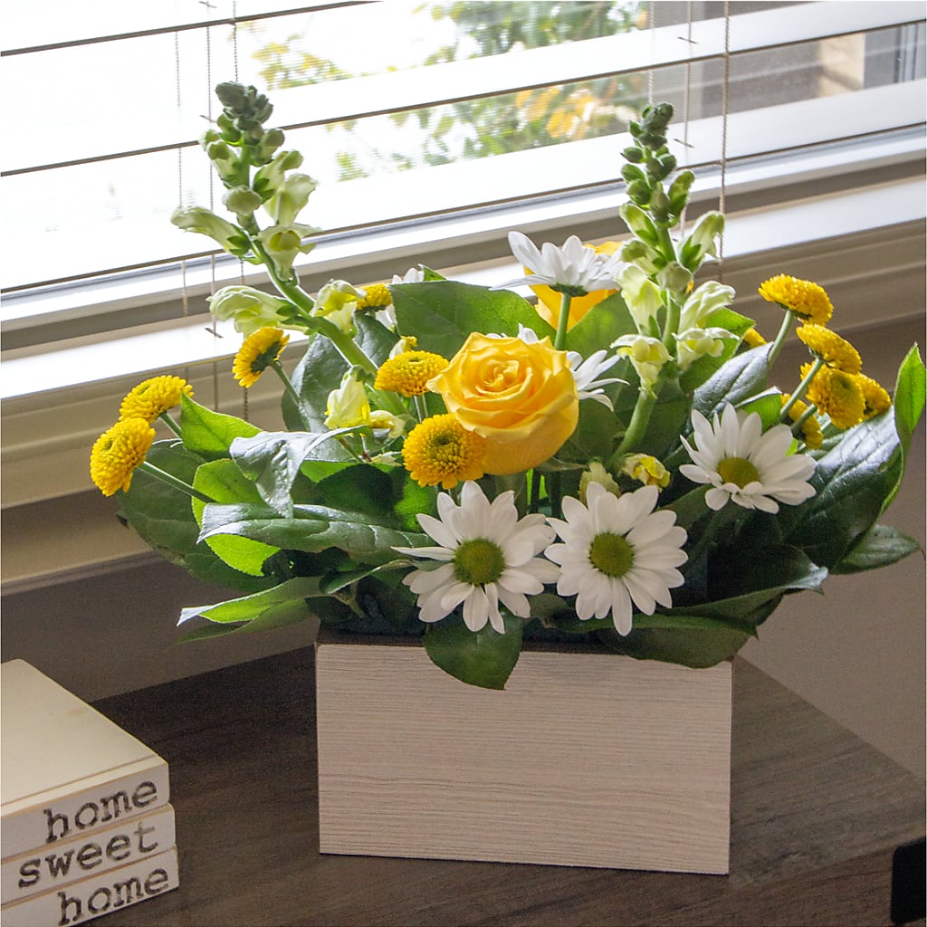 Sun Salutation Box Bouquet –  All City Florist Inc, Melbourne FL