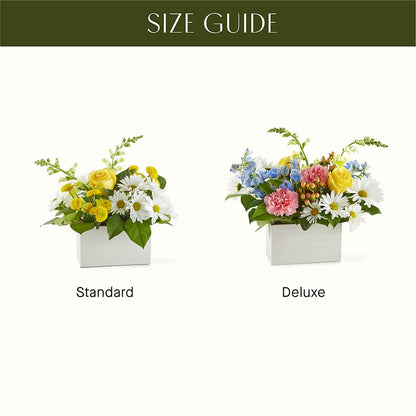 Sun Salutation Box Bouquet –  All City Florist Inc, Melbourne FL