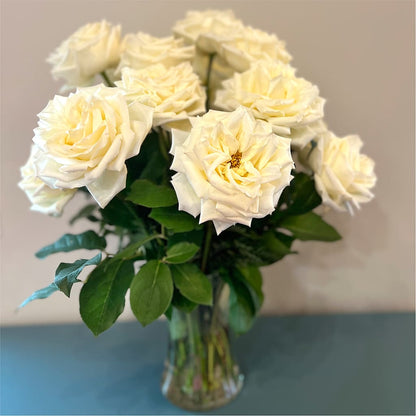 Long Stem Yellow Rose Bouquet –  All City Florist Inc, Melbourne FL