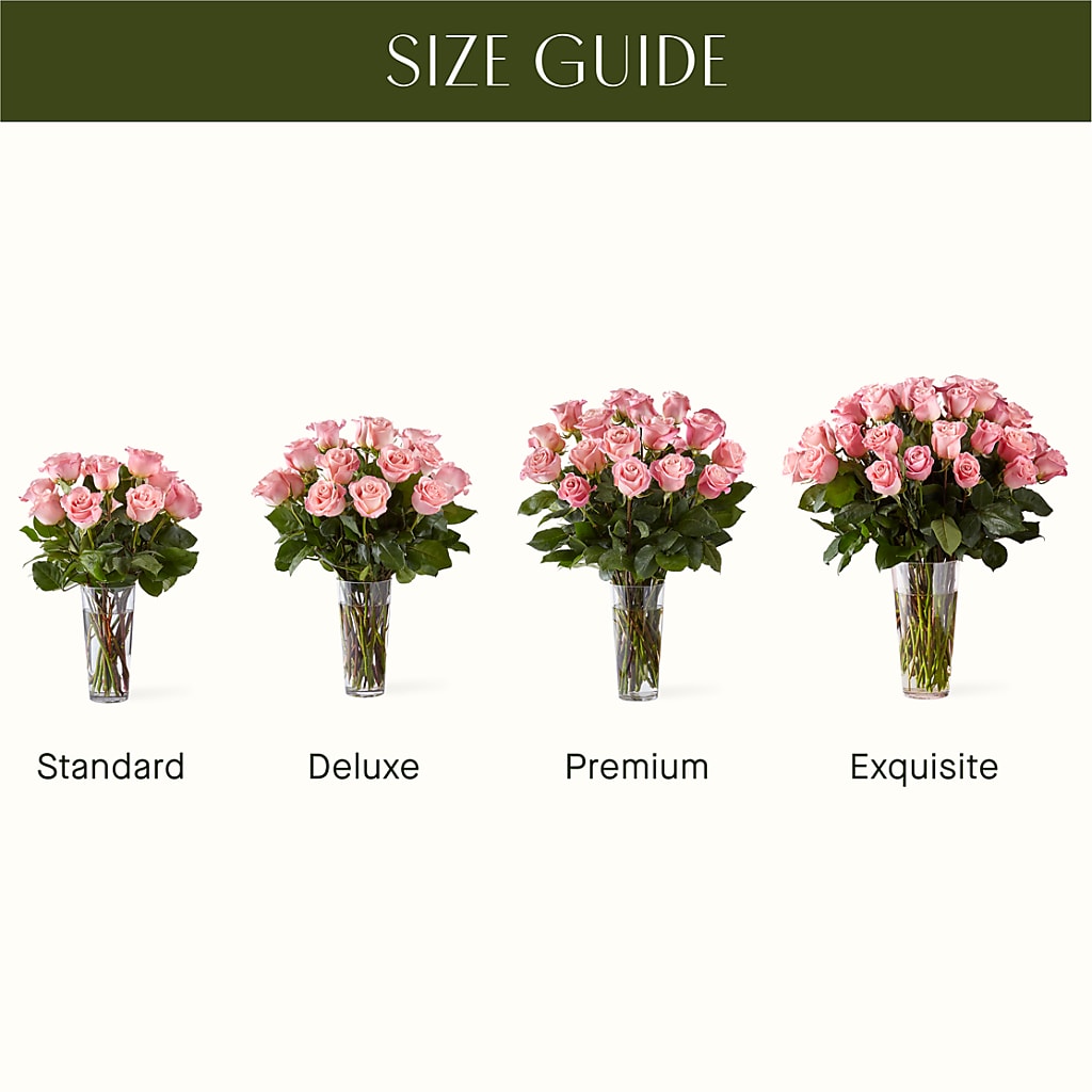 Long Stem Pink Rose Bouquet –  All City Florist Inc, Melbourne FL
