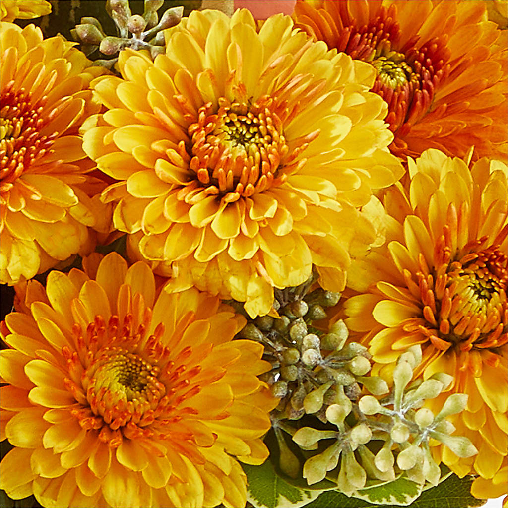 Peachy Pumpkin –  All City Florist Inc, Melbourne FL