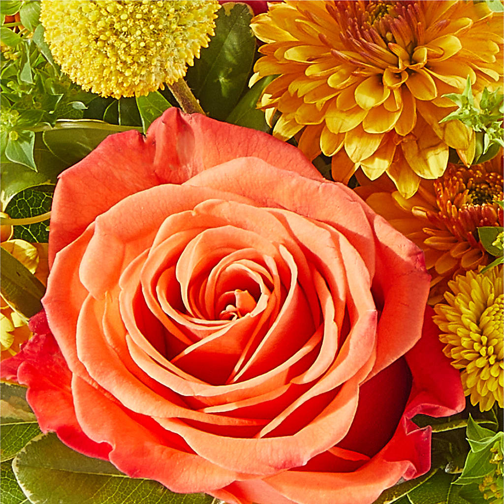Gourdgeous Pumpkin –  All City Florist Inc, Melbourne FL
