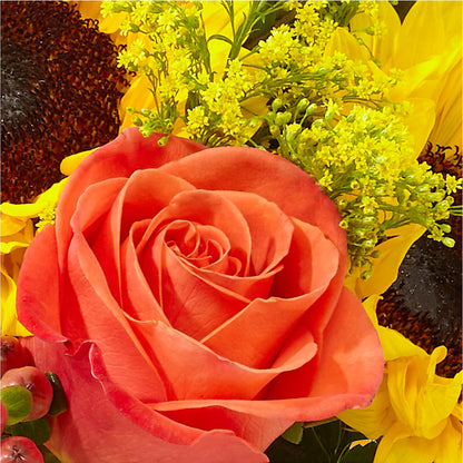 Pick of the Patch Pumpkin Bouquet –  All City Florist Inc, Melbourne FL
