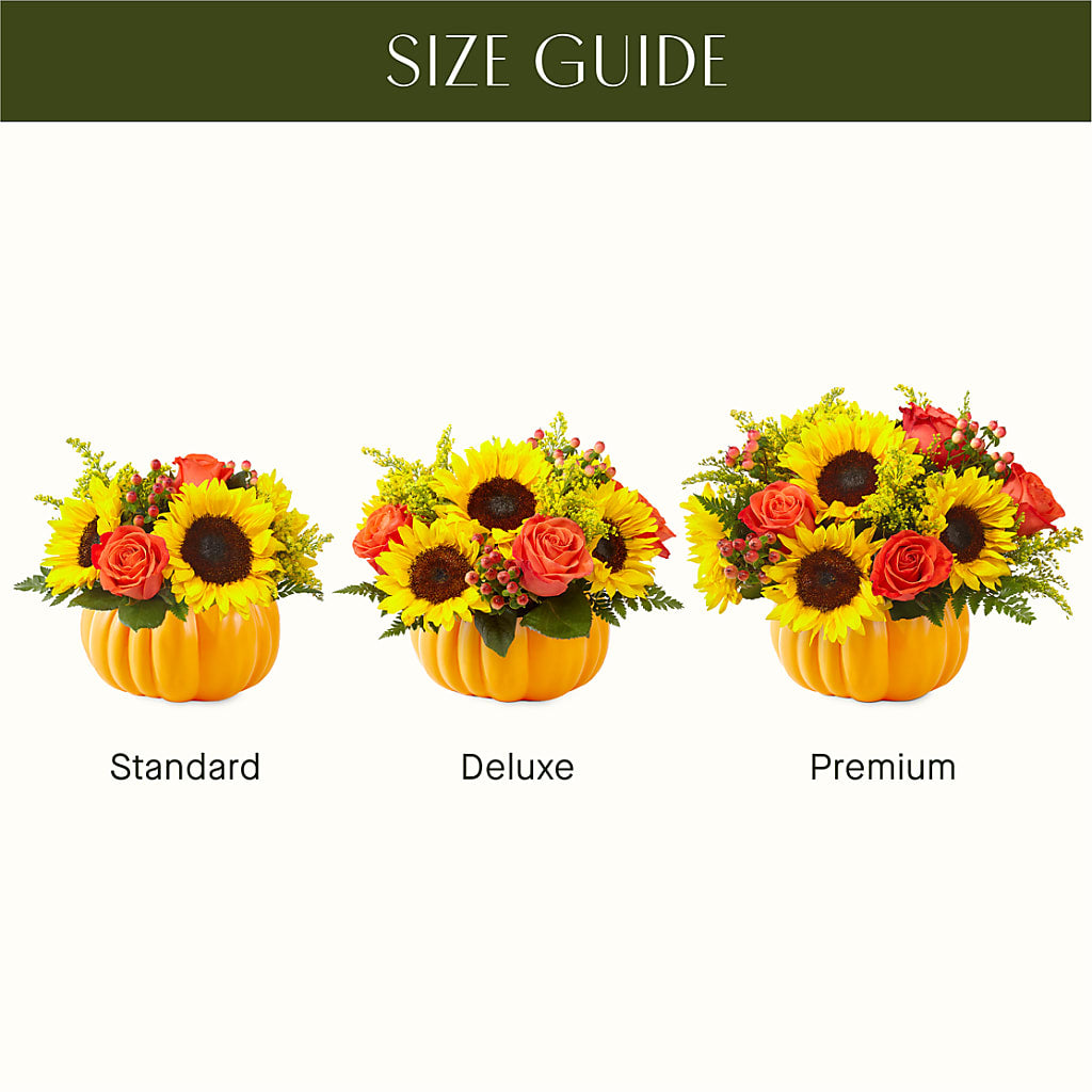 Pick of the Patch Pumpkin Bouquet –  All City Florist Inc, Melbourne FL