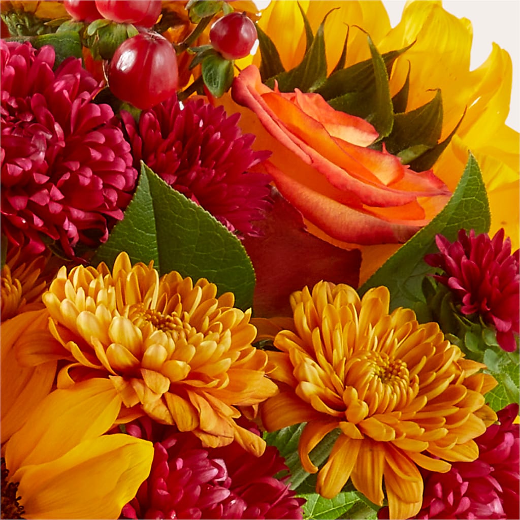 Sweater Season - A Florist Original –  All City Florist Inc, Melbourne FL