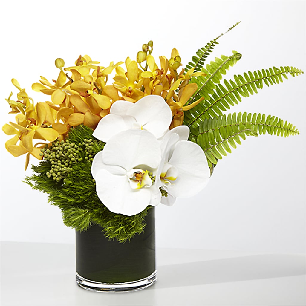 The Tropics –  All City Florist Inc, Melbourne FL