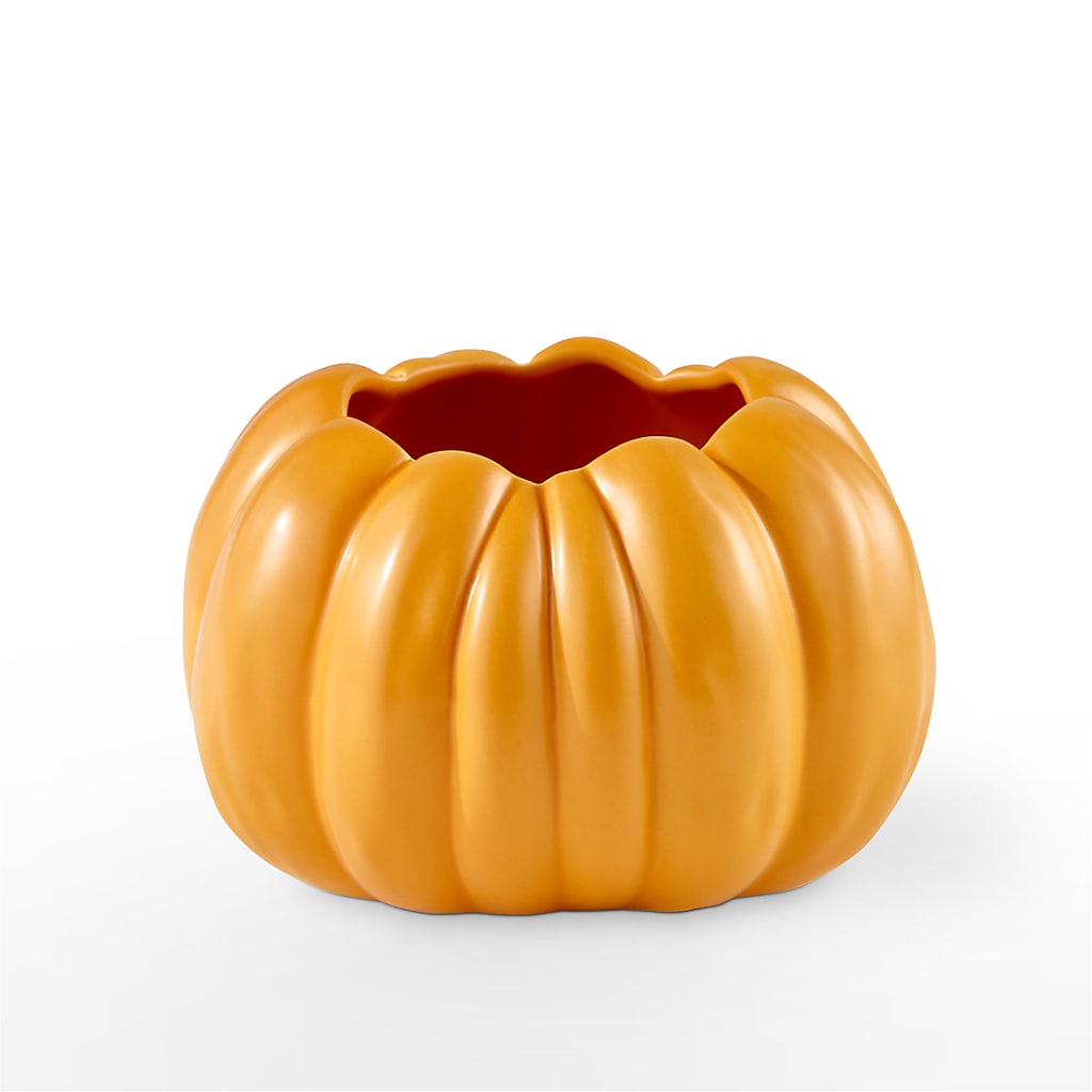 Pick of the Patch Pumpkin Bouquet –  All City Florist Inc, Melbourne FL
