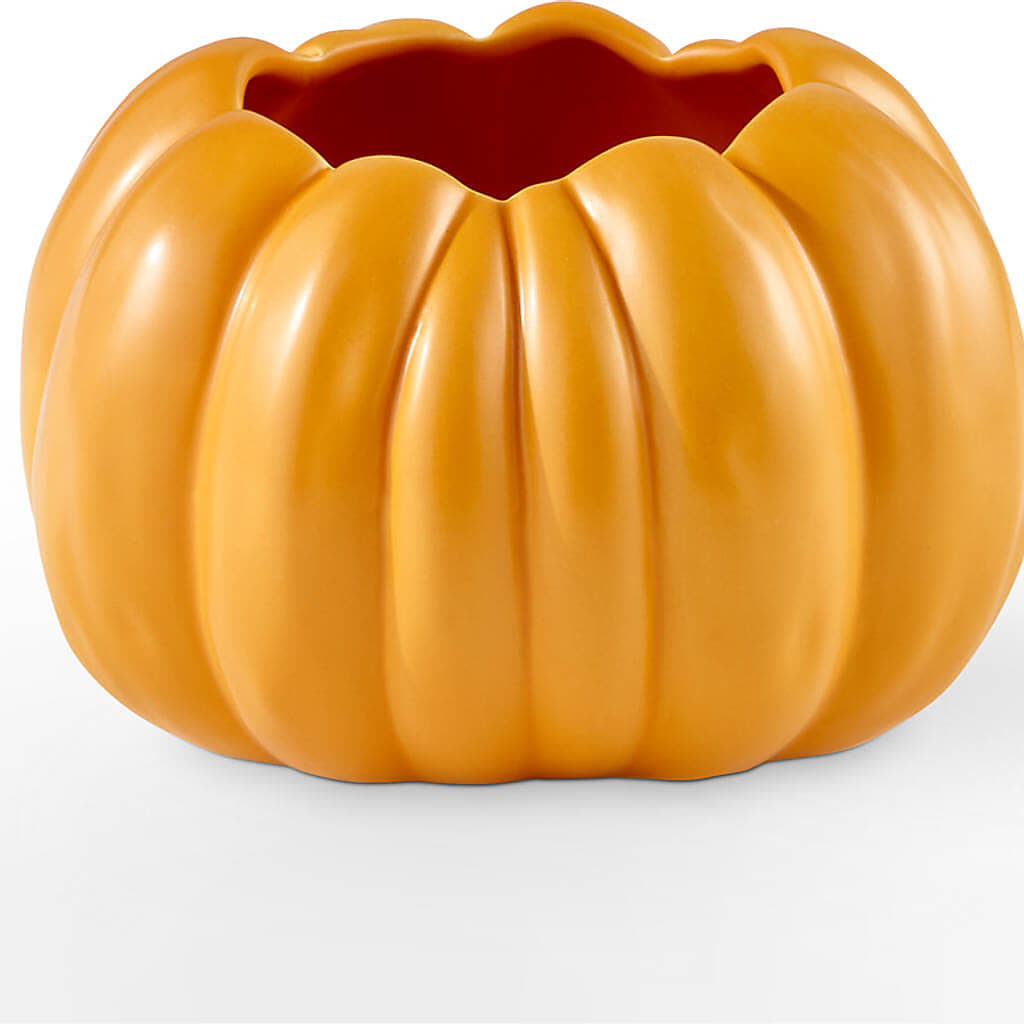 Golden Gourd Pumpkin Bouquet –  All City Florist Inc, Melbourne FL