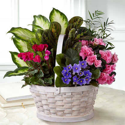 Peaceful Garden Planter –  All City Florist Inc, Melbourne FL