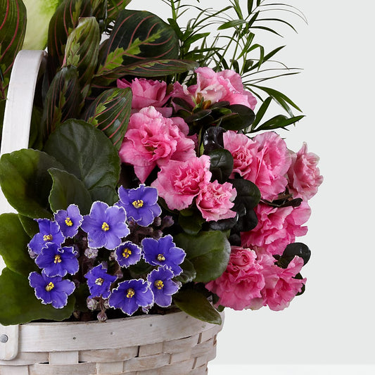 Peaceful Garden Planter –  All City Florist Inc, Melbourne FL