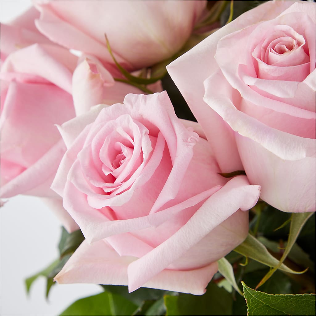 Picture Perfect Pink Rose Bouquet –  All City Florist Inc, Melbourne FL