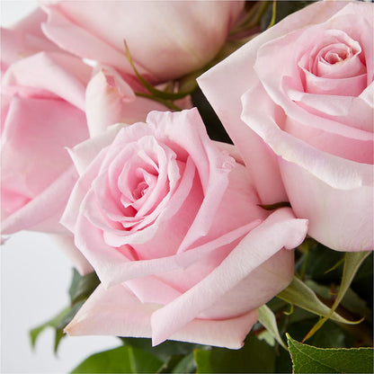 Picture Perfect Pink Rose Bouquet –  All City Florist Inc, Melbourne FL