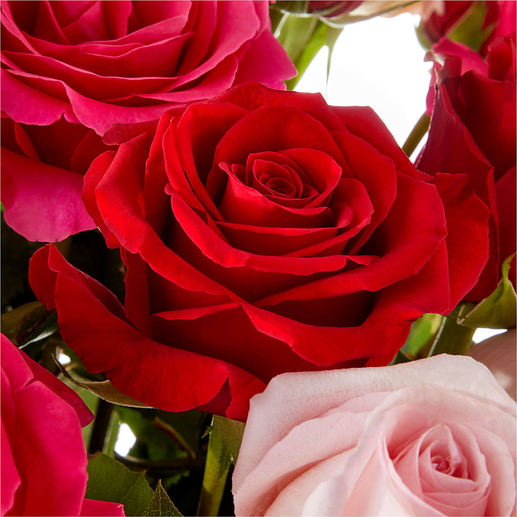 Love Notes Rose Bouquet –  All City Florist Inc, Melbourne FL