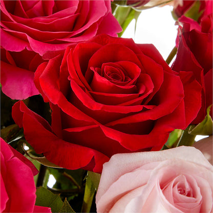 Love Notes Rose Bouquet –  All City Florist Inc, Melbourne FL