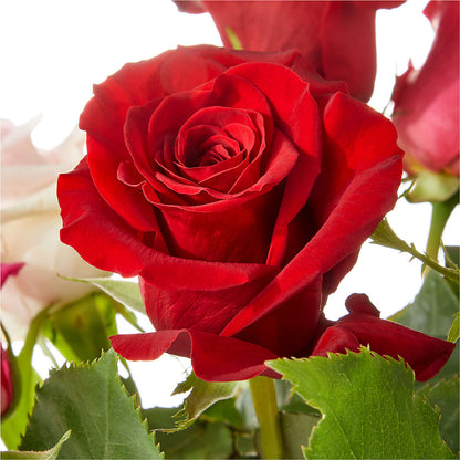 Love Notes Rose Bouquet –  All City Florist Inc, Melbourne FL