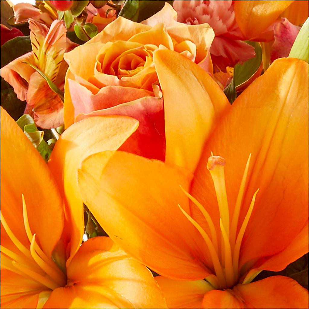 Afternoon Light Bouquet –  All City Florist Inc, Melbourne FL