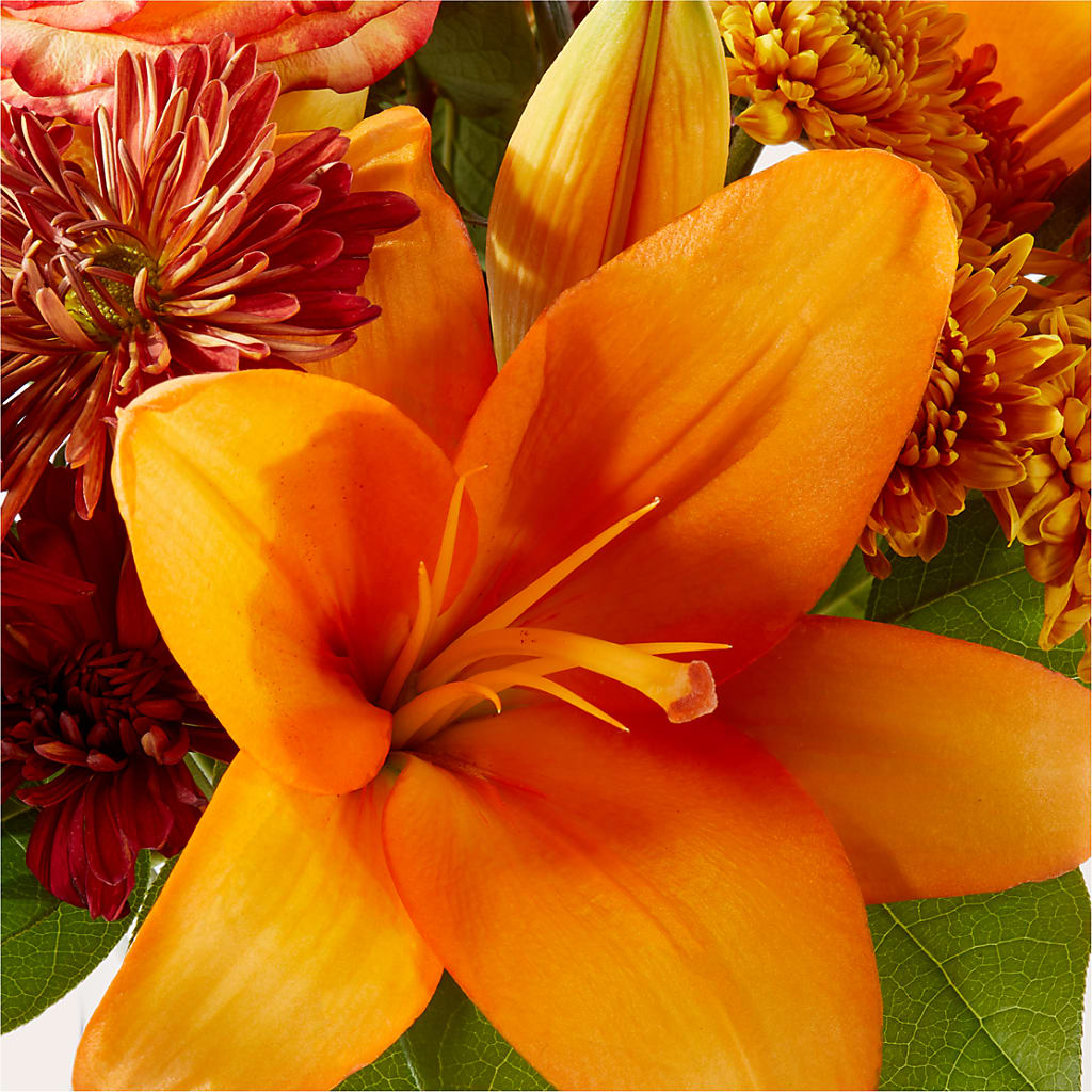 Autumnal Aroma Bouquet –  All City Florist Inc, Melbourne FL