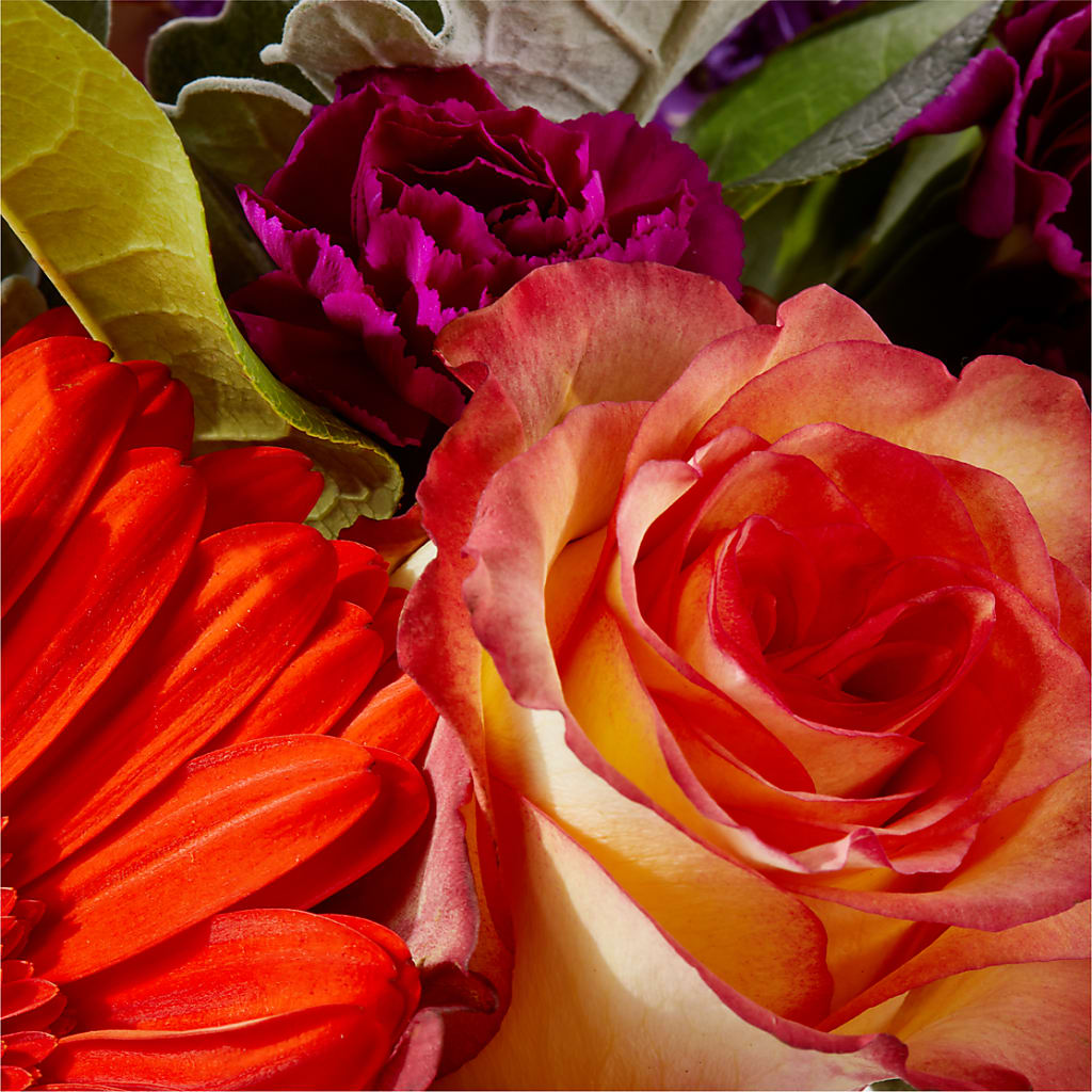 Sangria Bouquet –  All City Florist Inc, Melbourne FL